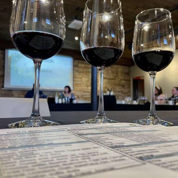 Sunday School: Varietal Series - Demystifying Gamay